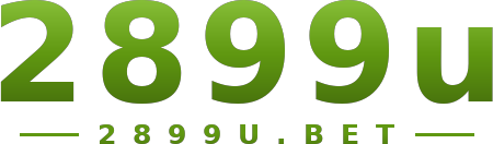 2899u logo